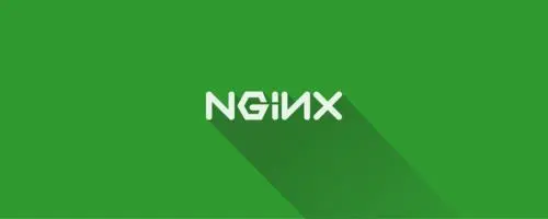 Nginx 服务器出现 502 错误可能原因有哪些？
